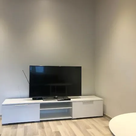 Modern Cozy 2 Bedroom Near Center Apartment
